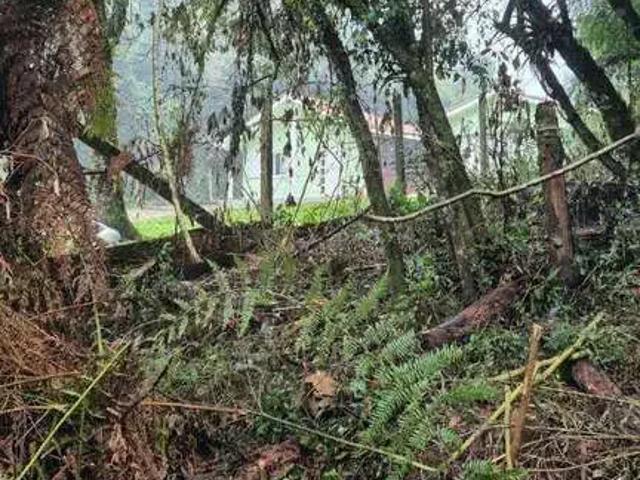Terreno venda em Canela