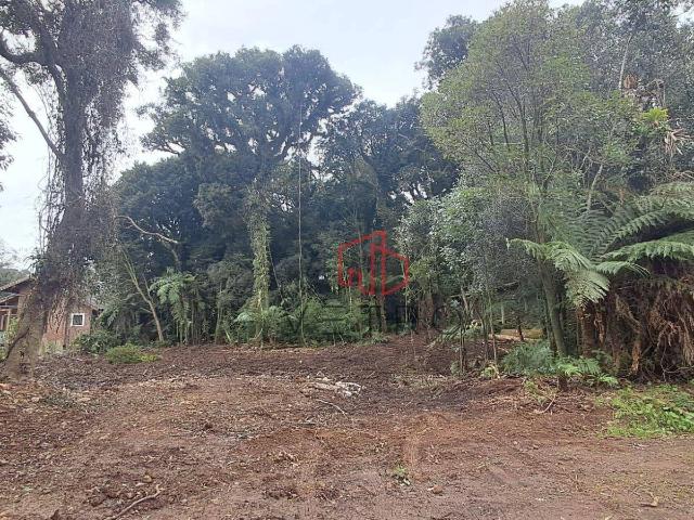 Terreno venda em Canela