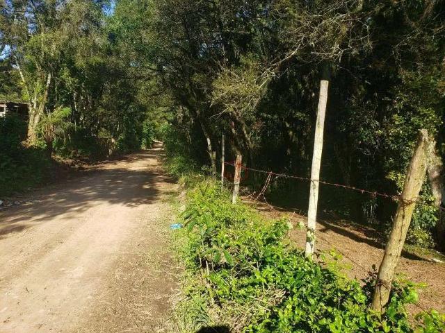 Terreno venda em Canela