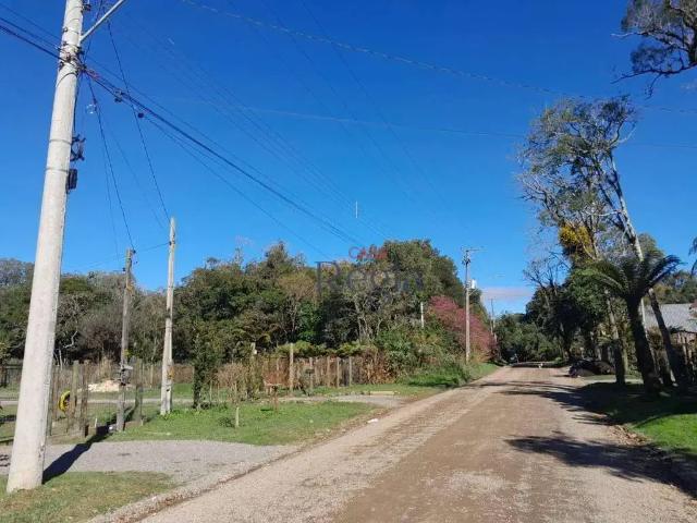 Terreno venda em Canela