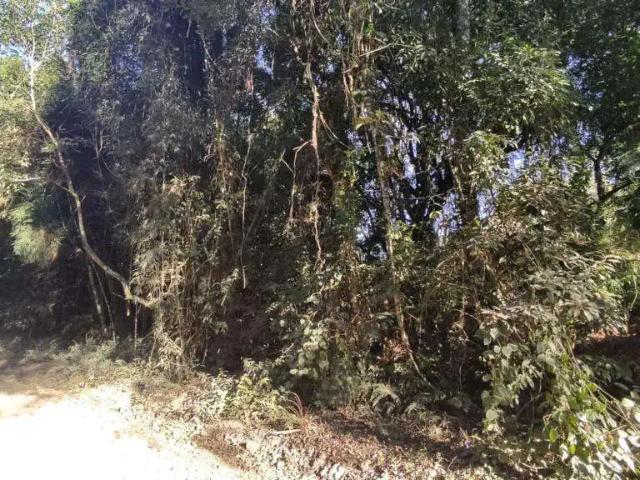 Terreno venda em Região Geográfica Imediata de Caxias do Sul, Canela