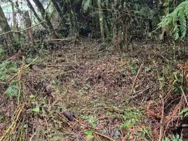 Terreno venda em Região Geográfica Imediata de Caxias do Sul, Canela