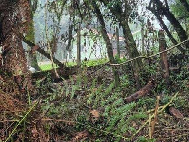 Terreno venda em Região Geográfica Imediata de Caxias do Sul, Canela