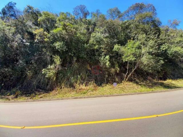 Terreno venda em Região Geográfica Imediata de Caxias do Sul, Canela