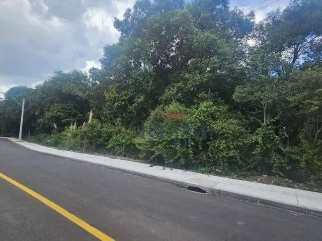 Terreno venda em Região Geográfica Imediata de Caxias do Sul, Canela