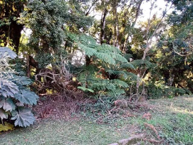 Terreno venda em Região Geográfica Imediata de Caxias do Sul, Canela