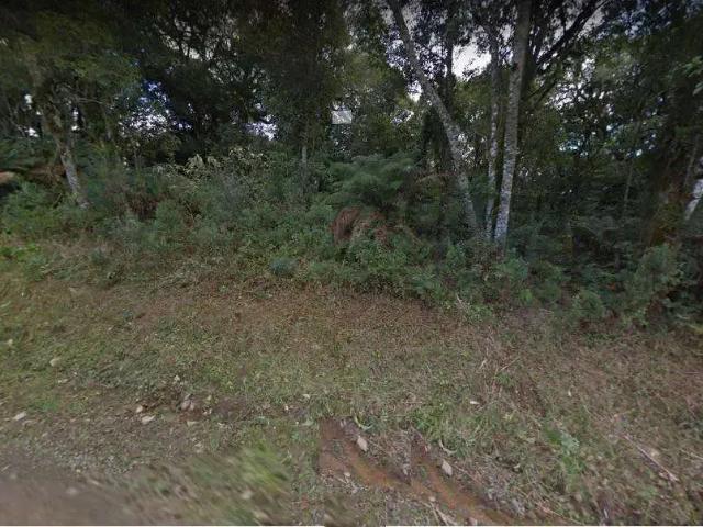 Terreno venda em Região Geográfica Imediata de Caxias do Sul, Canela