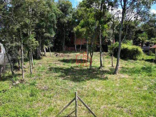 Terreno venda em Canela