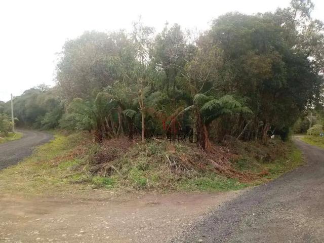 Terreno venda em Região Geográfica Imediata de Caxias do Sul, Canela