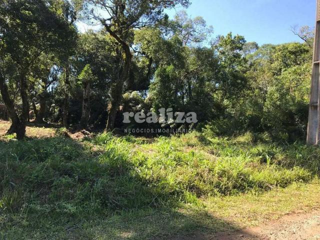 Terreno venda em Região Geográfica Imediata de Caxias do Sul, Canela