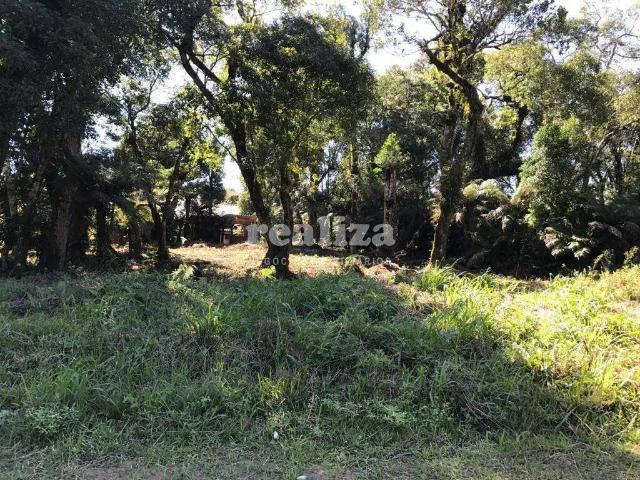 Terreno venda em Região Geográfica Imediata de Caxias do Sul, Canela