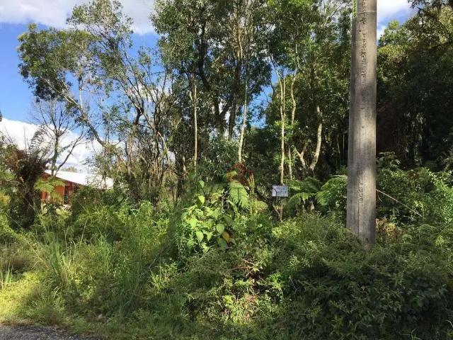Terreno venda em Região Geográfica Imediata de Caxias do Sul, Canela