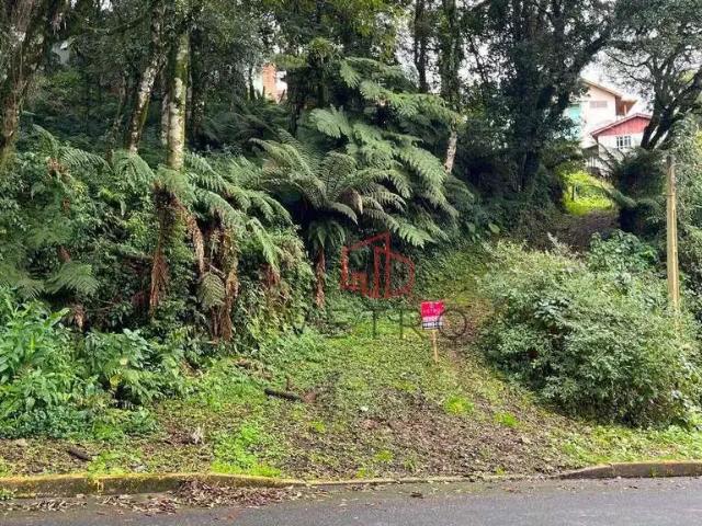 Terreno venda em Região Geográfica Imediata de Caxias do Sul, Canela