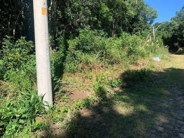 Terreno venda em Região Geográfica Imediata de Caxias do Sul, Canela