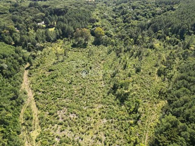 Terreno venda em Região Geográfica Imediata de Caxias do Sul, Canela