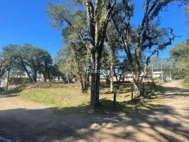 Terreno venda em Região Geográfica Imediata de Vacaria, Bom Jesus