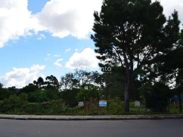 Terreno venda em Região Geográfica Imediata de Caxias do Sul, Canela