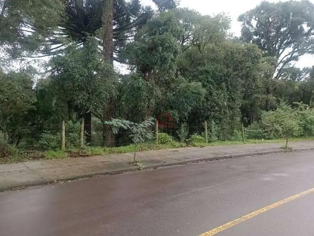 Terreno venda em Região Geográfica Imediata de Caxias do Sul, Canela