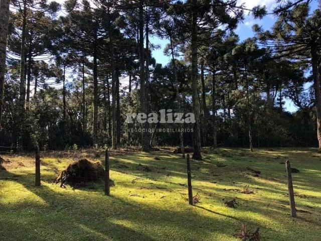 Terreno venda em Região Geográfica Imediata de Caxias do Sul, Canela