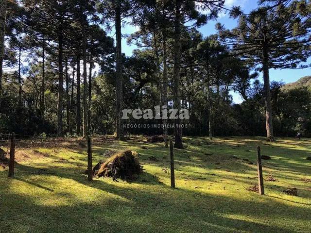Terreno venda em Região Geográfica Imediata de Caxias do Sul, Canela