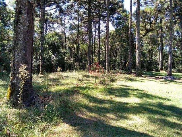 Terreno venda em Região Geográfica Imediata de Caxias do Sul, Canela