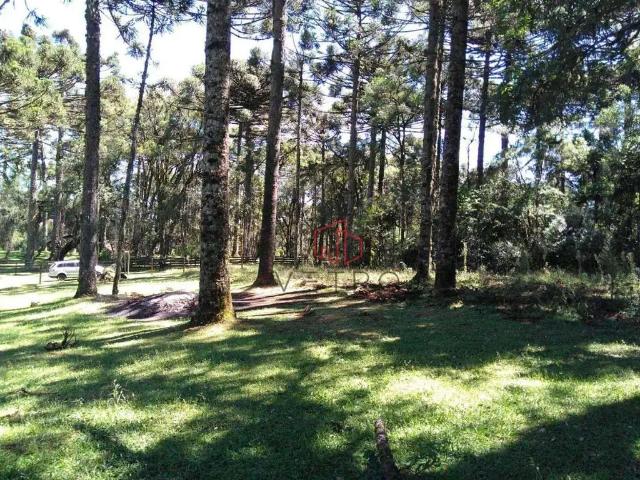 Terreno venda em Região Geográfica Imediata de Caxias do Sul, Canela
