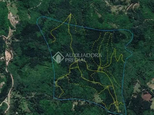 Terreno venda em Região Geográfica Imediata de Caxias do Sul, Canela