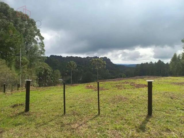 Terreno venda em Canela