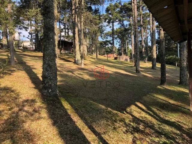 Terreno venda em Canela