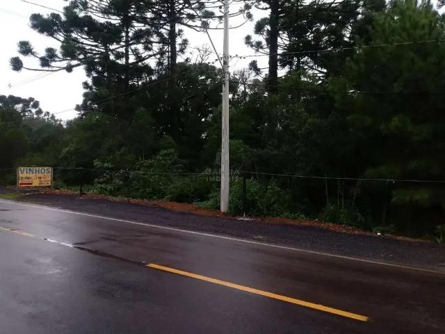 Terreno venda em Região Geográfica Imediata de Caxias do Sul, Canela