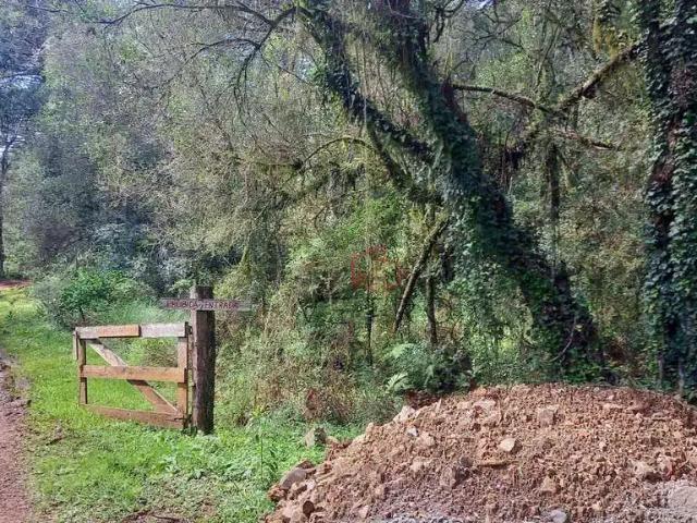 Terreno venda em Canela