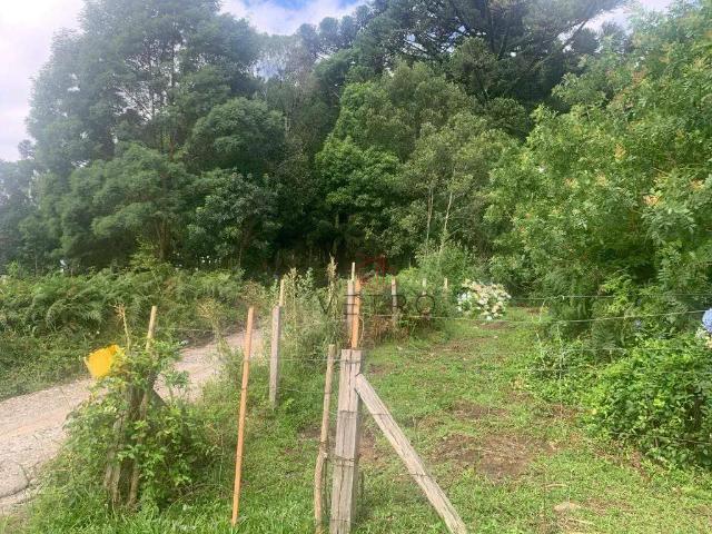 Terreno venda em Canela