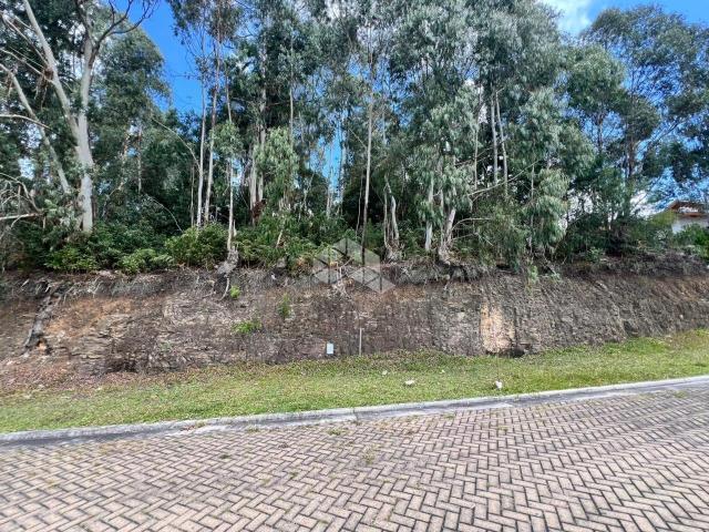 Terreno venda em Canela