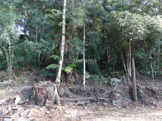 Terreno venda em Canela