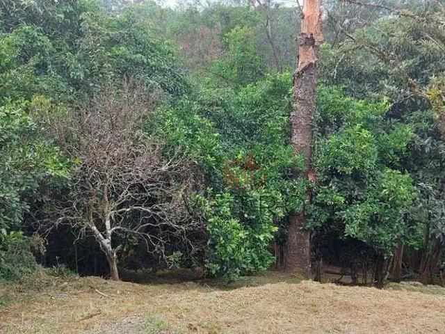 Terreno venda em Região Geográfica Imediata de Caxias do Sul, Canela
