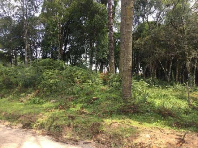 Terreno venda em Região Geográfica Imediata de Caxias do Sul, Canela