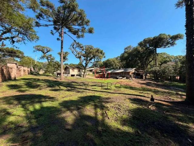 Terreno venda em Região Geográfica Imediata de Caxias do Sul, Canela