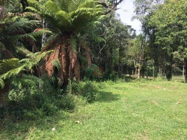 Terreno venda em Região Geográfica Imediata de Caxias do Sul, Canela