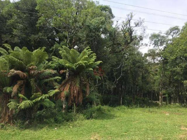 Terreno venda em Região Geográfica Imediata de Caxias do Sul, Canela
