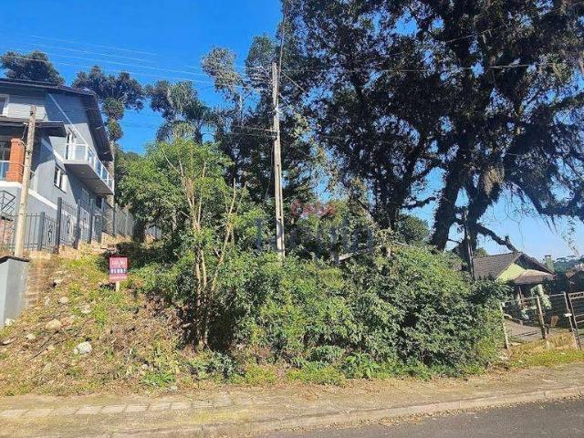 Terreno venda em Região Geográfica Imediata de Caxias do Sul, Canela