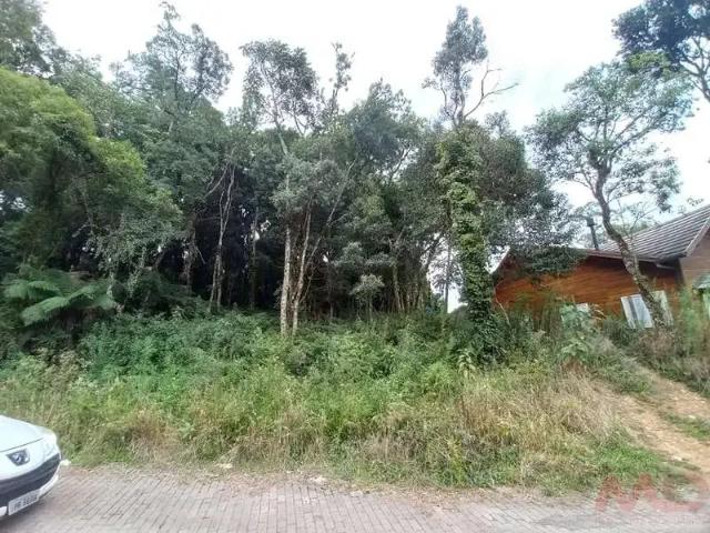 Terreno venda em Região Geográfica Imediata de Caxias do Sul, Canela