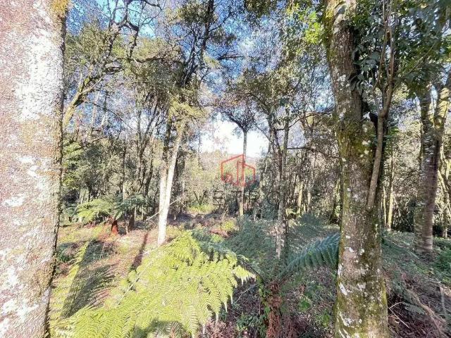 Terreno venda em Região Geográfica Imediata de Caxias do Sul, Canela