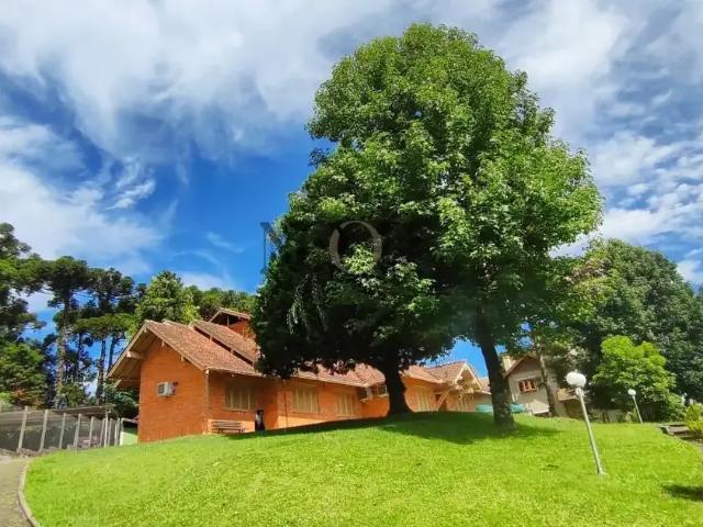 Terreno venda em Canela