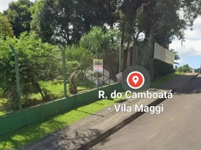 Terreno venda em Vila do Cedro, Canela