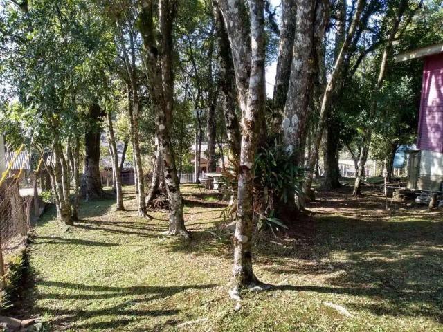 Terreno venda em Região Geográfica Imediata de Caxias do Sul, Canela