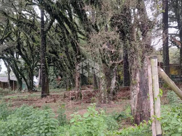 Terreno venda em Canela
