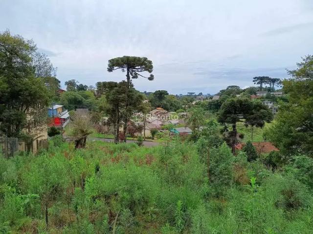 Terreno venda em Canela