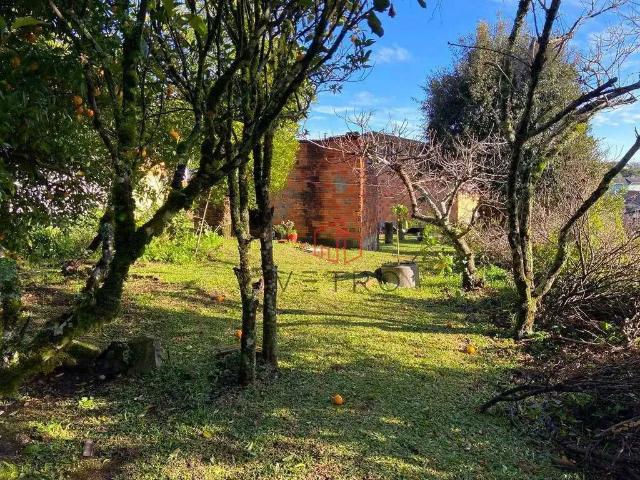 Terreno venda em Canela