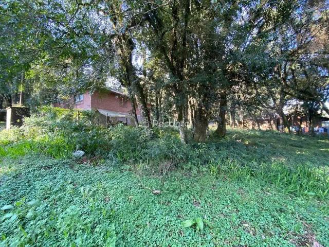 Terreno venda em Região Geográfica Imediata de Caxias do Sul, Canela