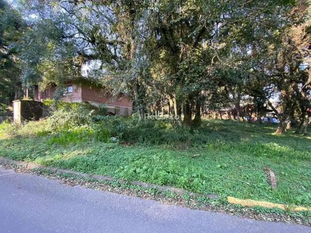 Terreno venda em Região Geográfica Imediata de Caxias do Sul, Canela